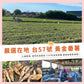 【良拾作所】地瓜脆片 原味糖粉/酸甜梅粉 120g/袋
