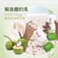 泰國IF椰子水350ml*24(一箱)